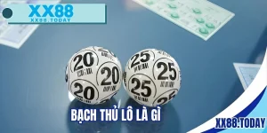 bạch thủ lô là gì