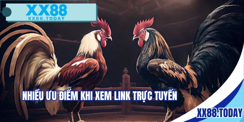 Nhiều ưu điểm vượt trội khi xem trực tiếp chọi kê 