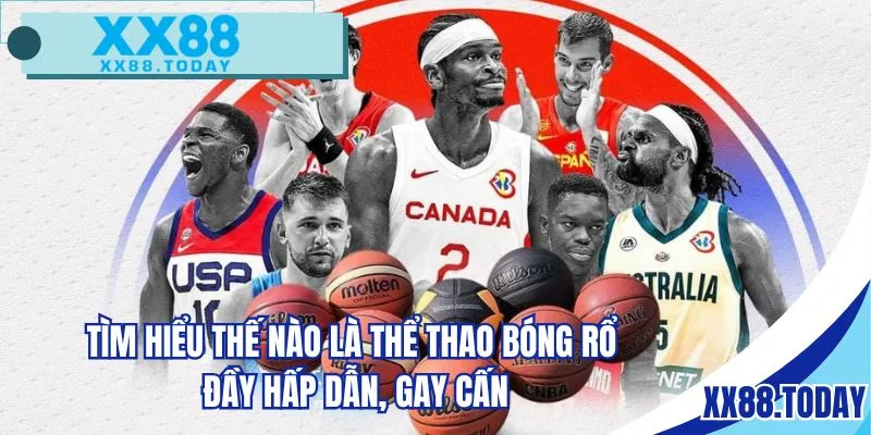 Tìm hiểu thế nào là thể thao bóng rổ đầy hấp dẫn, gay cấn