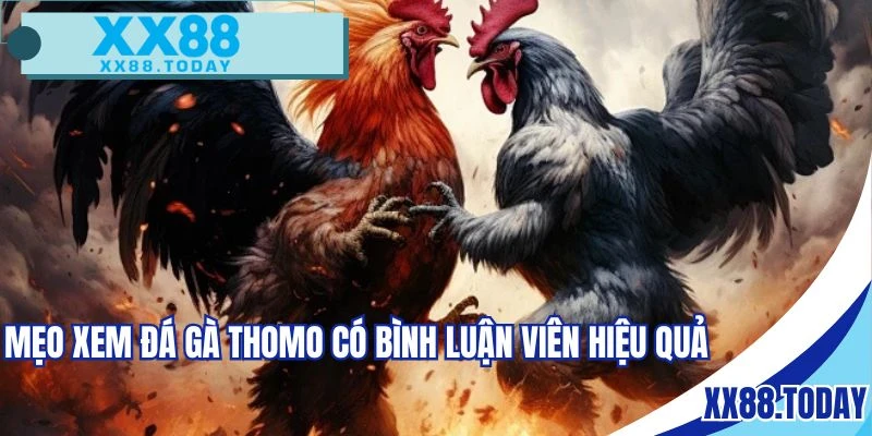 Vận dụng một số mẹo khi xem chọi kê có BLV 